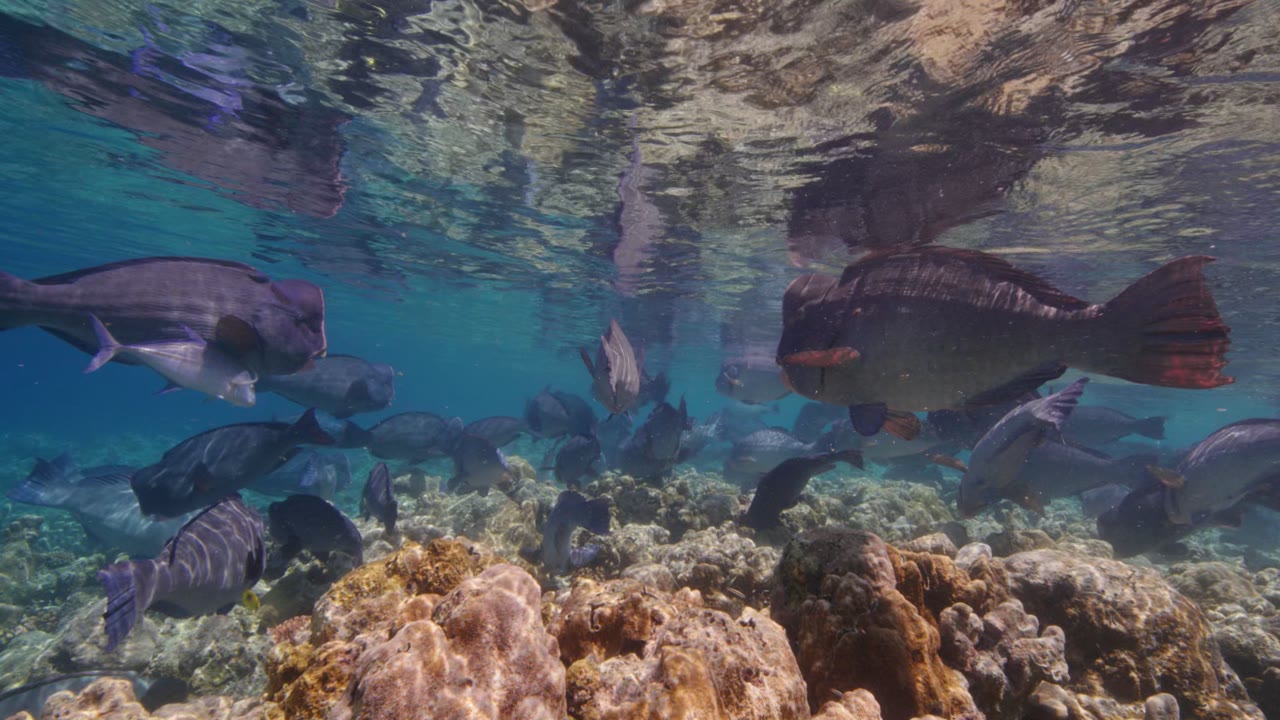 Bumpheads, an Aerial film shown full frame