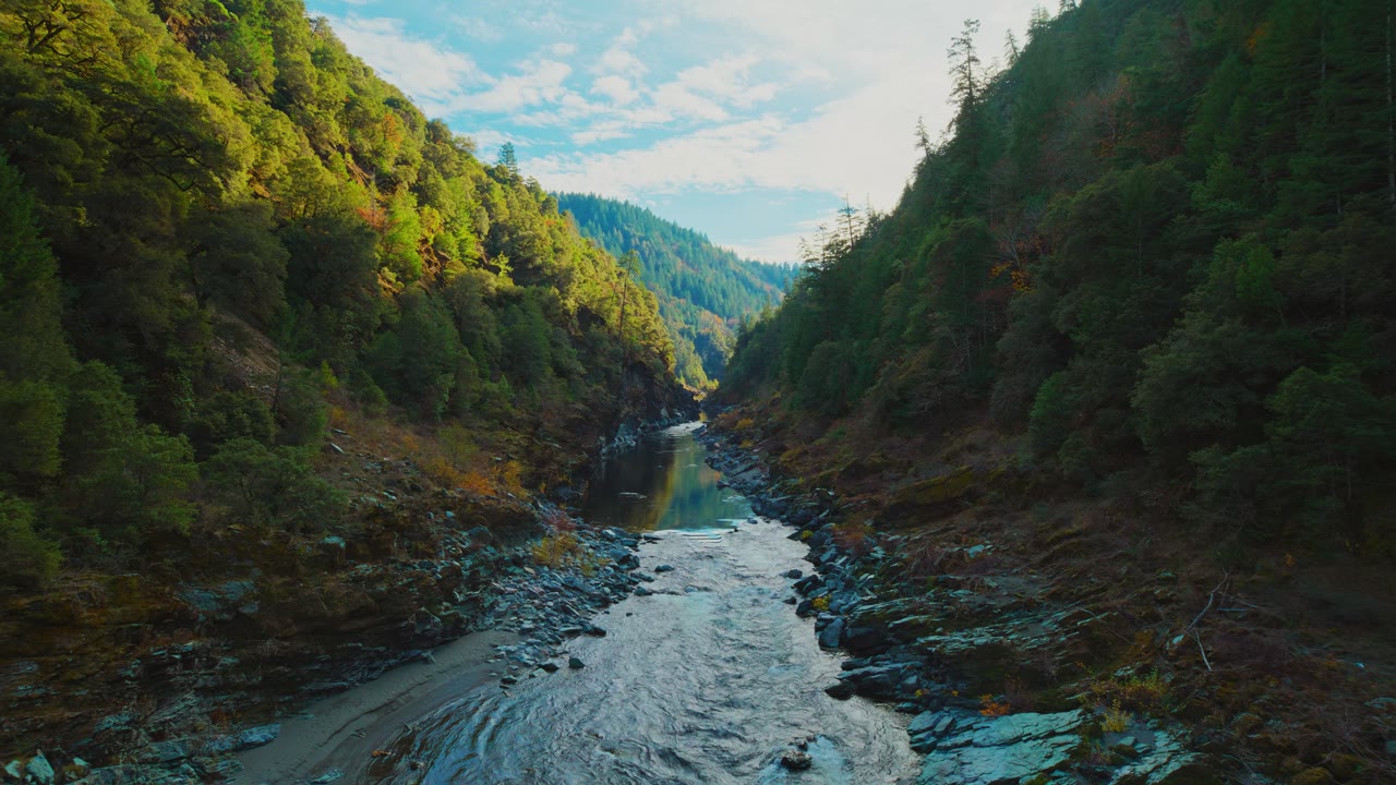 Redwoods River, an Aerial film shown full frame