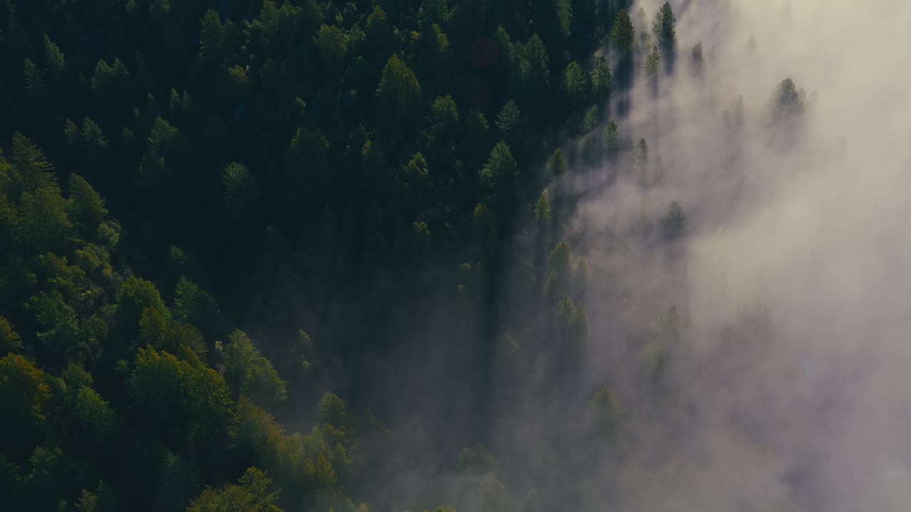 Sonoma from Above, an Aerial film shown full frame