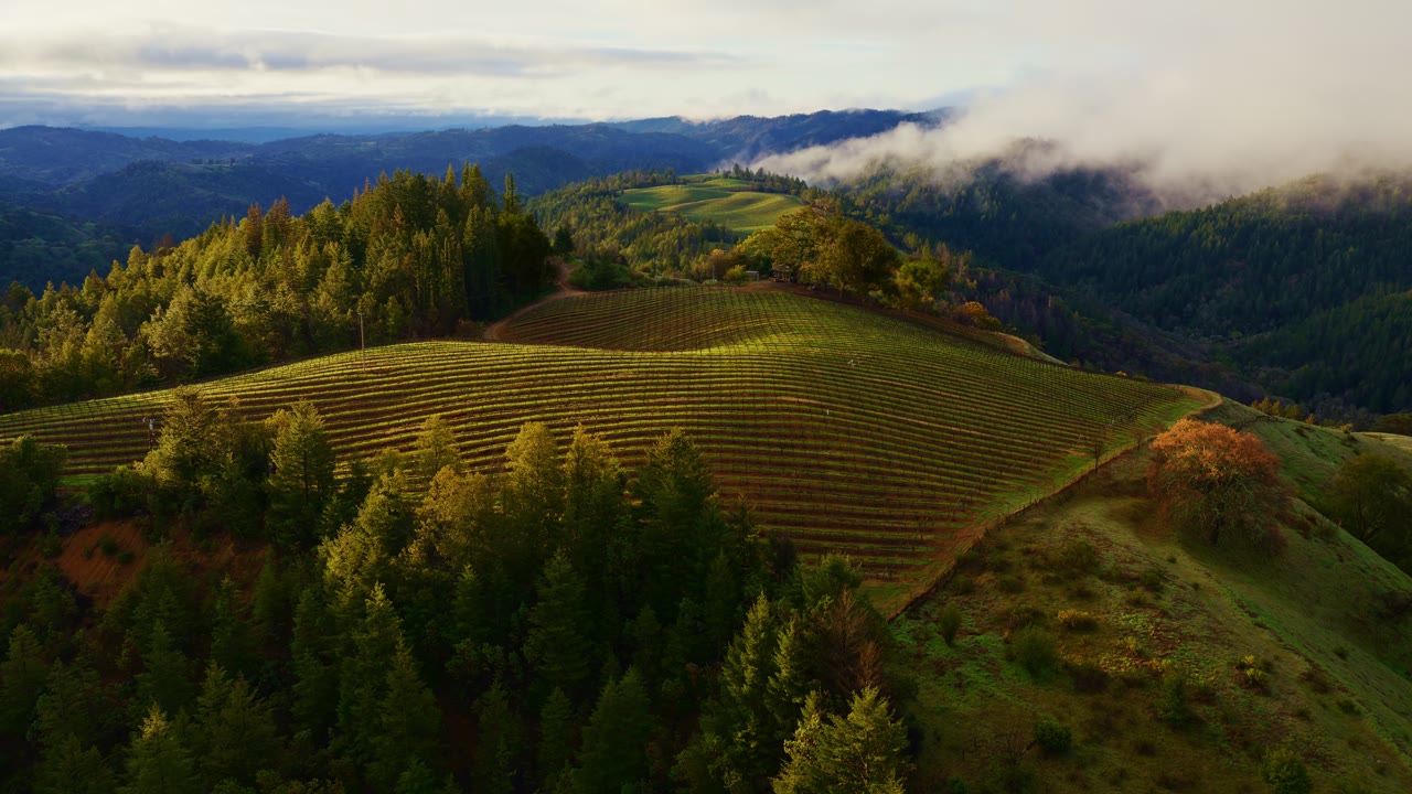 Sonoma Horizon, an Aerial film shown full frame
