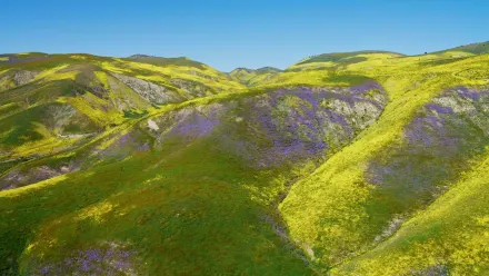 California’s Carrizo Plain Aerial wallpaper
