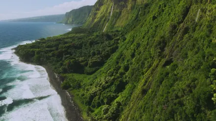 Hawaii Coastline Aerial wallpaper