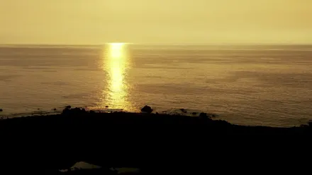 Hawaii Ocean Aerial wallpaper