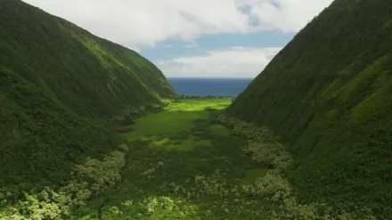 Hawaii Valley Aerial wallpaper