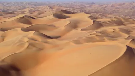 Liwa Dune Fields Aerial wallpaper