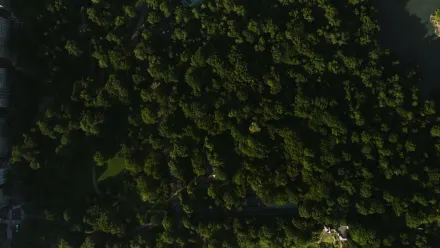 New York from Above Aerial wallpaper