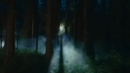 Sequoia Night Aerial wallpaper