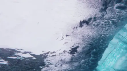 Tahiti Waves Mist Aerial wallpaper